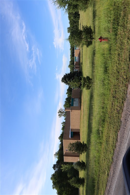 Burt - Burt 6-15-2021 (newer photo)